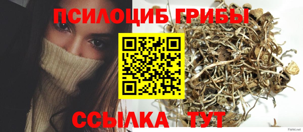 Псилоцибиновые грибы прущие грибы  Вход с VPN  Пятигорск 